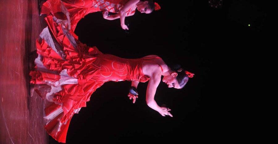 Tenerife: Flamenco Performance at Teatro Coliseo - What the first half feels like on stage