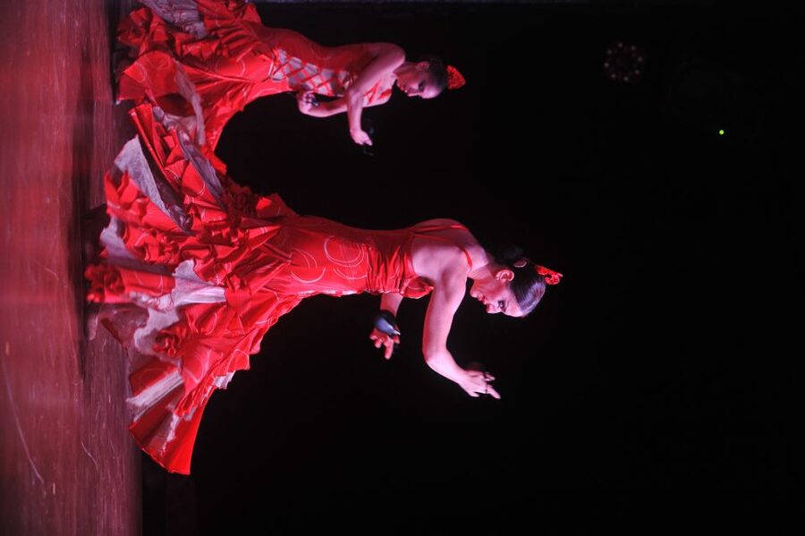 Tenerife: Flamenco Performance at Teatro Coliseo - Standard tickets, VIP seats, and the drink choice