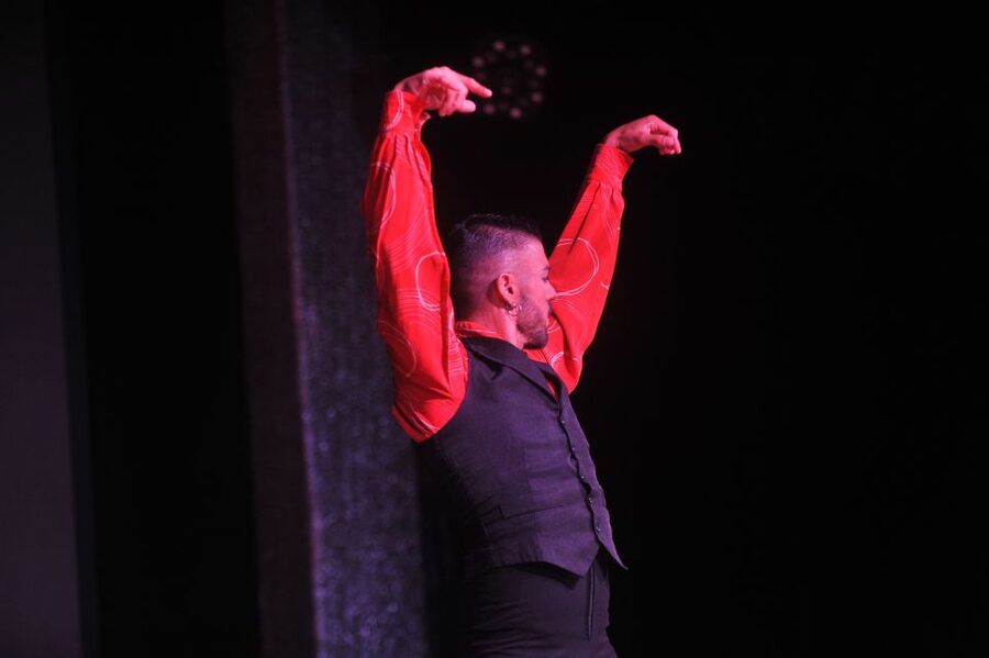 Tenerife: Flamenco Performance at Teatro Coliseo - How the performance compares with a more traditional flamenco night