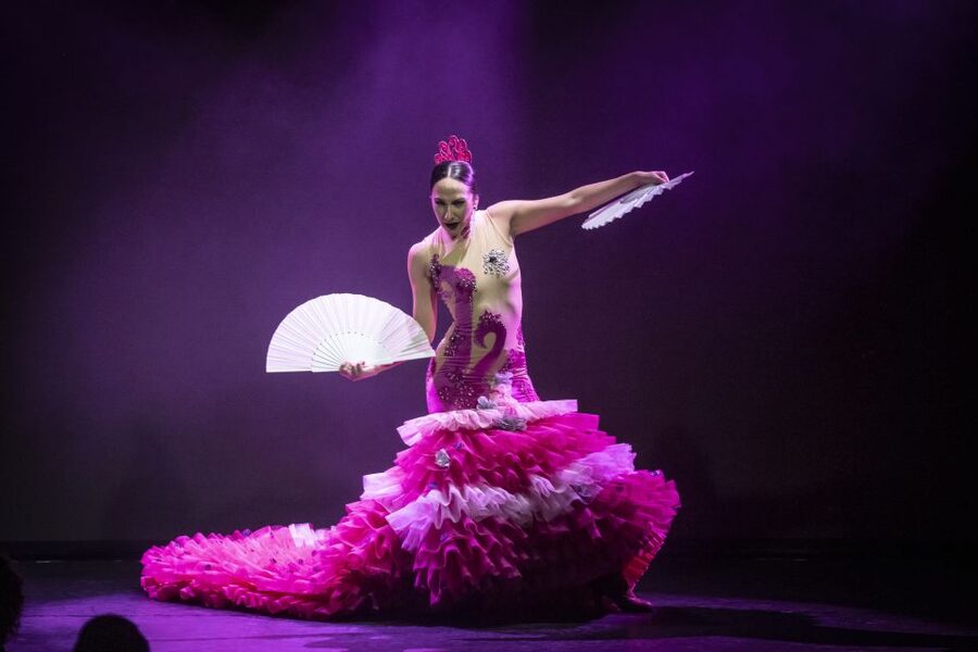 Tenerife : Olé Flamenco Show by Fran Chafino Ticket - Seating, drinks, and the real cost