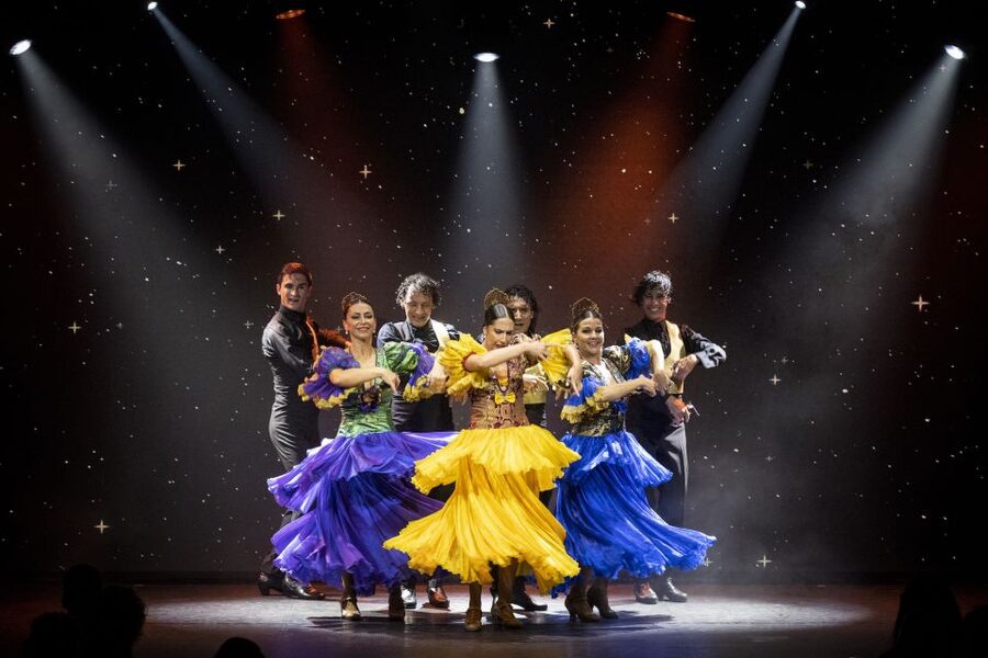 Tenerife : Olé Flamenco Show by Fran Chafino Ticket - Booking details worth checking