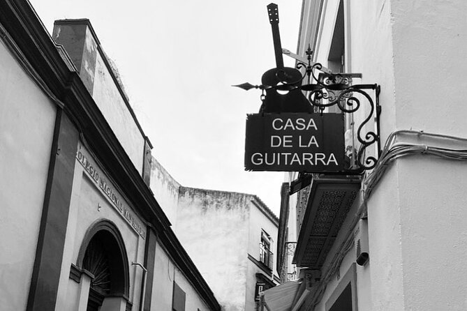 Ticket for Casa de la Guitarra Flamenco Show - The museum visit adds a useful prelude