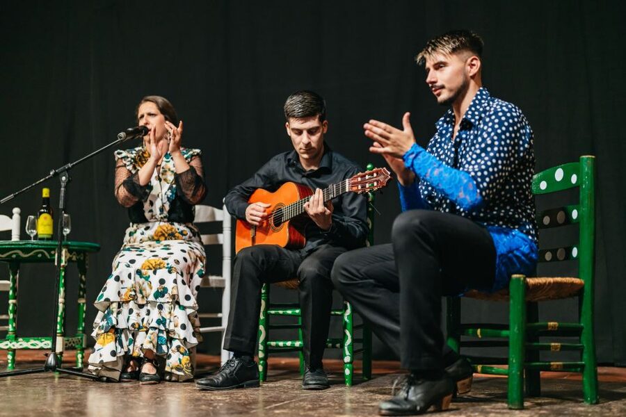 Torremolinos: Flamenco Show with Dinner and Drinks - Dietary needs and meal planning