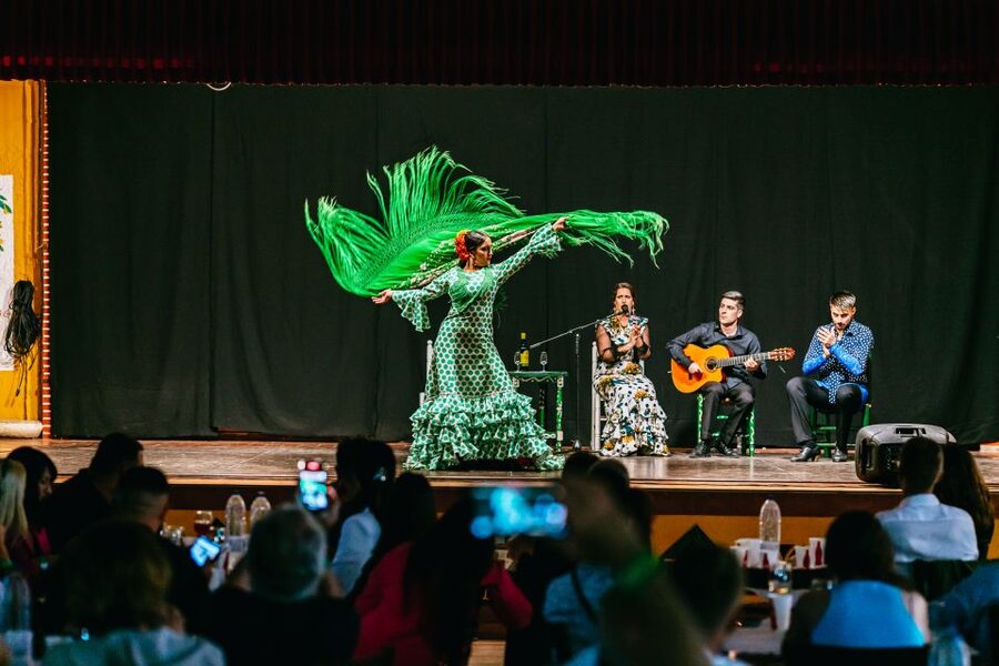 Torremolinos: Flamenco Show with Dinner and Drinks - Who will enjoy this Torremolinos night