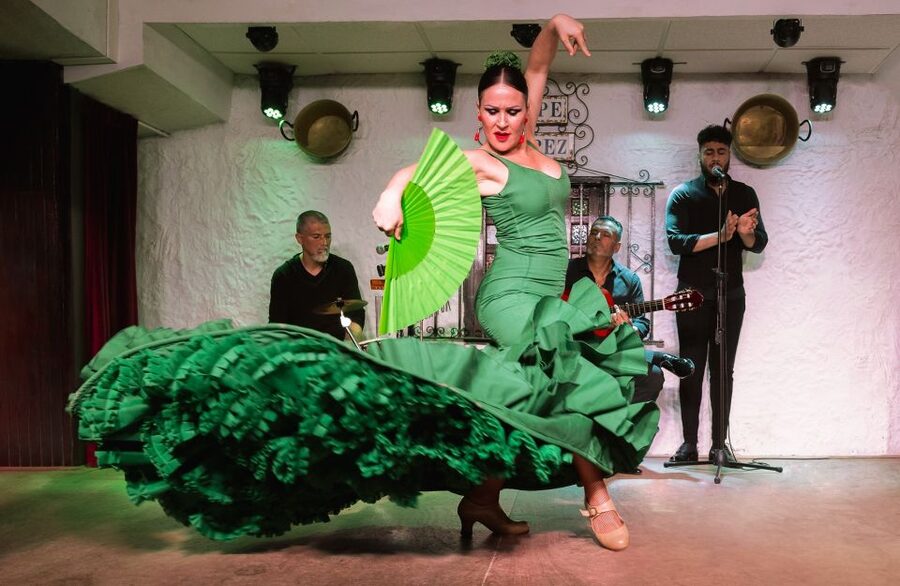 Torremolinos: Flamenco Show with Drinks - Who will enjoy this show most
