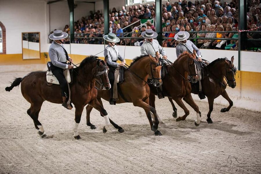 Torremolinos: Spanish horse and flamenco show - Start with the 30-minute stable tour