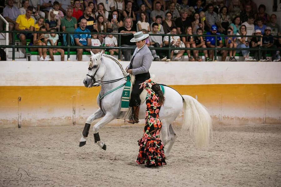 Torremolinos: Spanish horse and flamenco show - Settle into the covered arena for 90 minutes