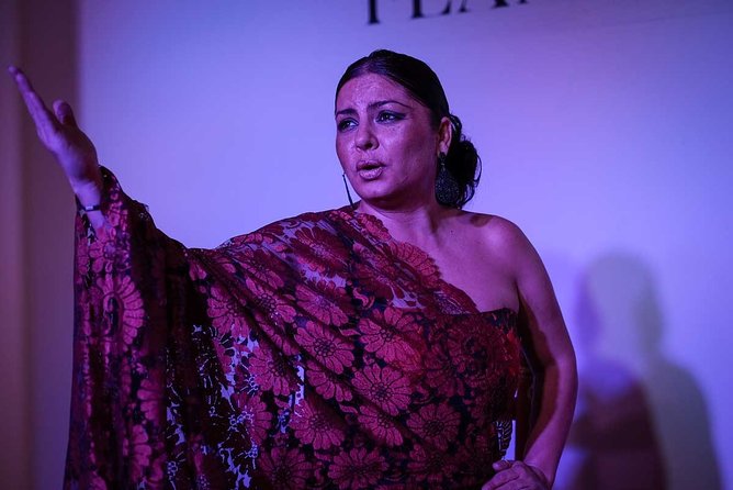 Traditional Flamenco Show - The singers, guitarists, and dancers