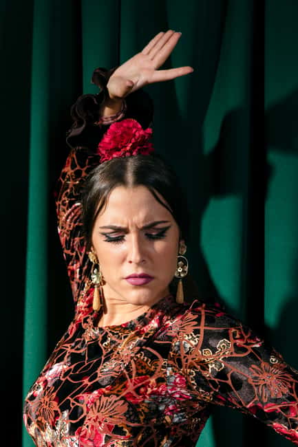 Unforgettable Seville: Tour of Seville and the Jewish Quarter + Flamenco Show - Starting at Plaza Nueva and Mercury Fountain