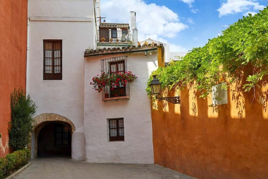 Unforgettable Seville: Tour of Seville and the Jewish Quarter + Flamenco Show - Language, pace, and guide quality