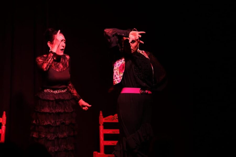 Valencia: Authentic Flamenco Show Entry Ticket - Key points to know before booking