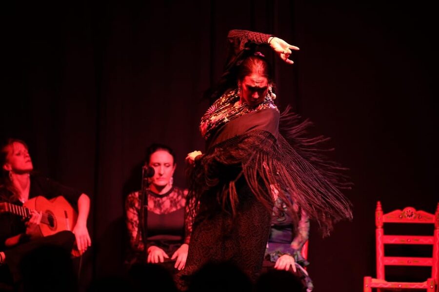 Valencia: Authentic Flamenco Show Entry Ticket - The dancers, guitarist, and singers