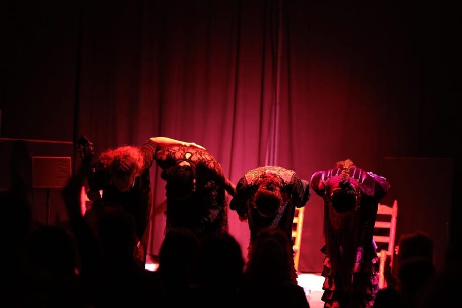 Valencia: Authentic Flamenco Show Entry Ticket - Why the small room helps, and where it falls short