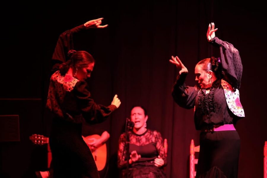 Valencia: Authentic Flamenco Show Entry Ticket - Should you book it?
