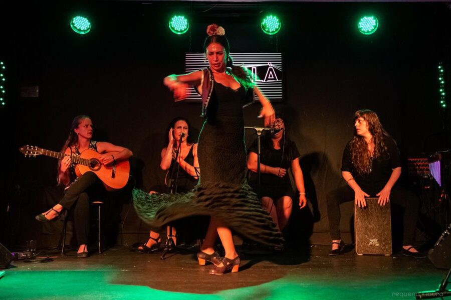 Valencia: Authentic Flamenco Show Entry Ticket - What happens during the one-hour show