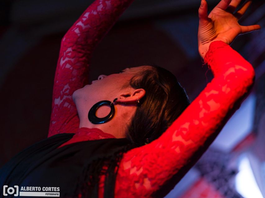 Valencia: Flamenco at Toro y La Luna with optional Dinner - Choosing between show only and dinner