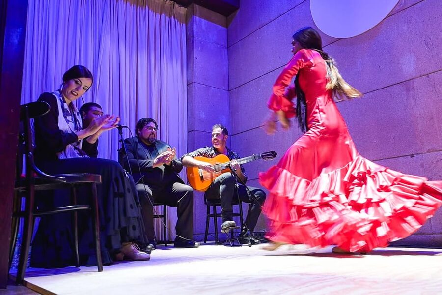 Valencia: La Linterna Flamenco Show - The emotional force is the main reason to go