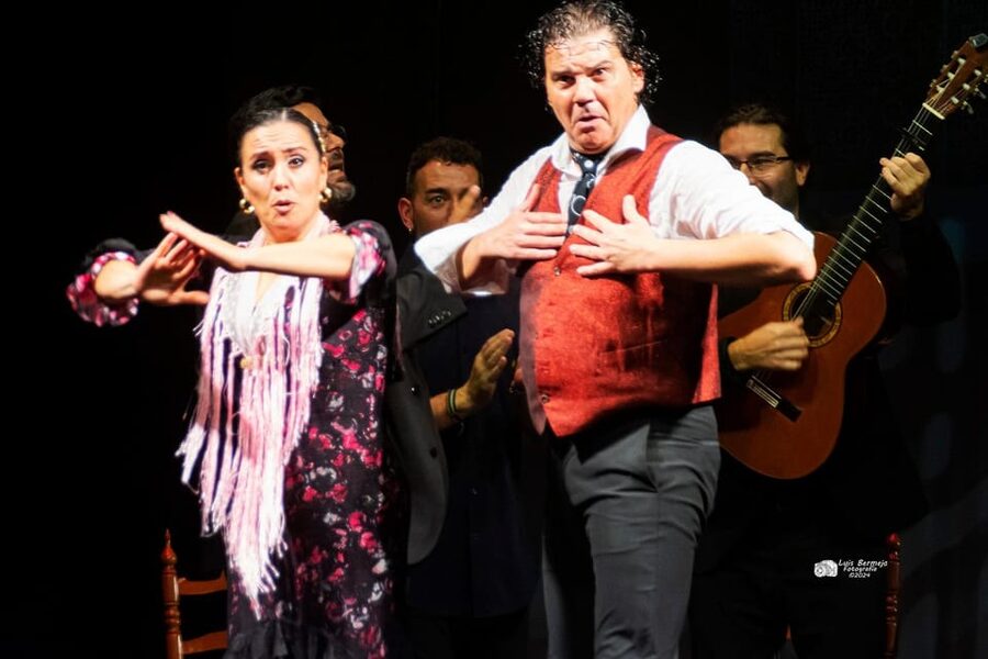 Valencia: New Flamenco Show in the Most Emblematic Theater of the City - At a Glance
