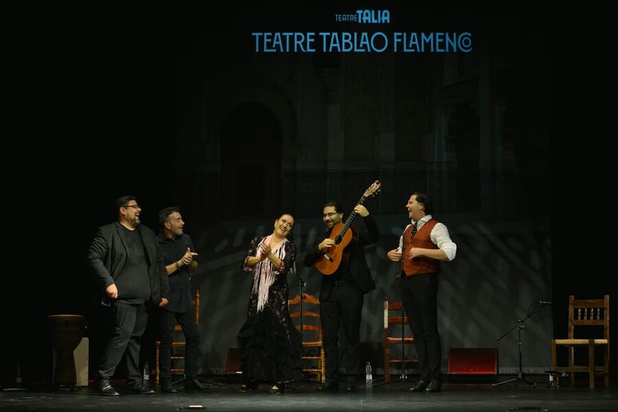 Valencia: New Flamenco Show in the Most Emblematic Theater of the City - Lighting, Sound, and the Theater Seat