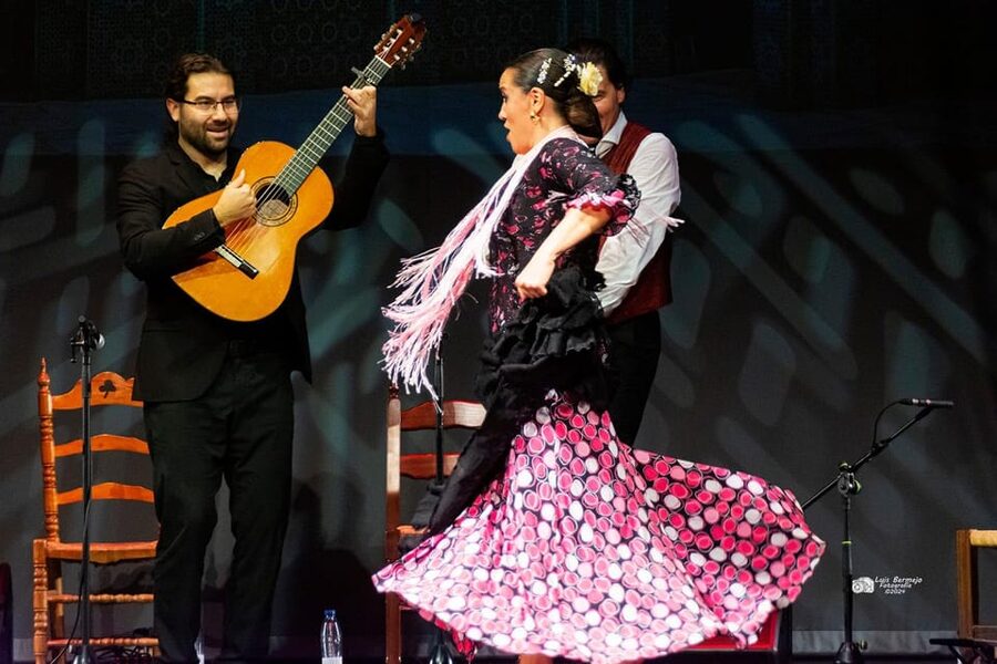 Valencia: New Flamenco Show in the Most Emblematic Theater of the City - The Best Way to Fit It Into a Valencia Day