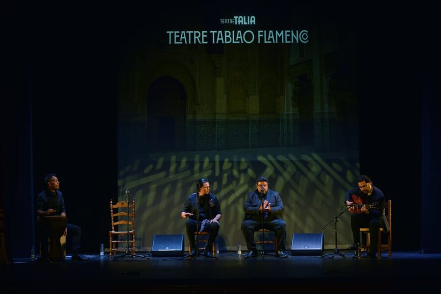 Valencia: New Flamenco Show in the Most Emblematic Theater of the City - Should You Book Teatre Tablao Flamenco?