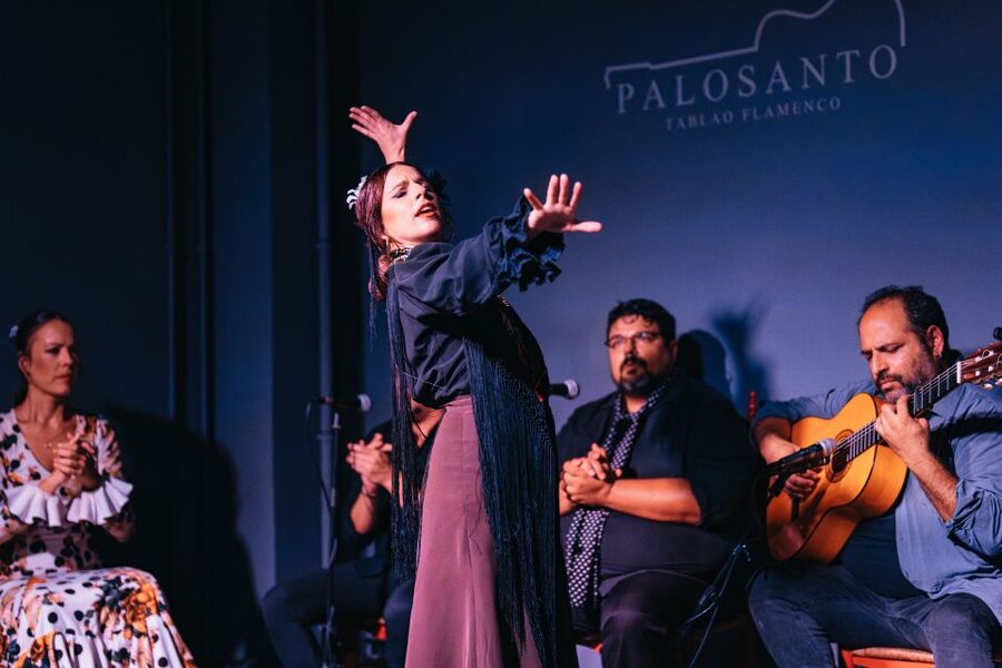 Valencia: Palosanto Flamenco Show Ticket - Who Will Enjoy Palosanto Most?