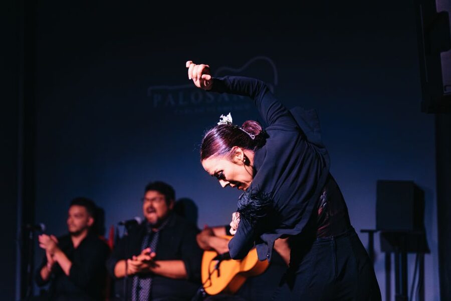 Valencia: Palosanto Flamenco Show Ticket - What Happens When You Arrive